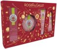 Roger & Gallet Coffret Noël Fleur de Figuier : Eau de toilette 30 ml + Savon Parfumée + Lait Corps + Crème Mains et Ongles  pas chers