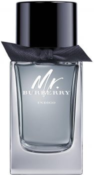 Eau de toilette Burberry Mr. Burberry Indigo 100 ml