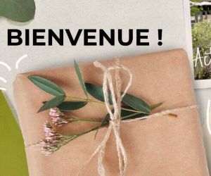 Un cadeau offert dès votre 1ère commande + Livraison offerte dès 10€ d'achat