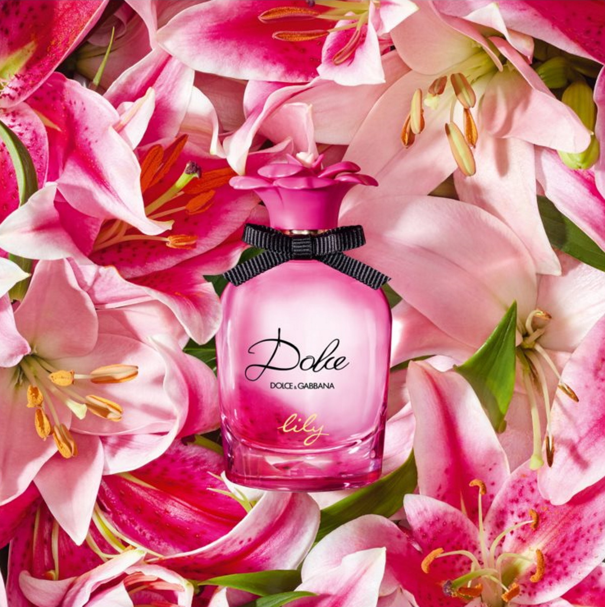 Dolce & Gabbana - Dolce Lily le nouveau parfum printemps été 2022