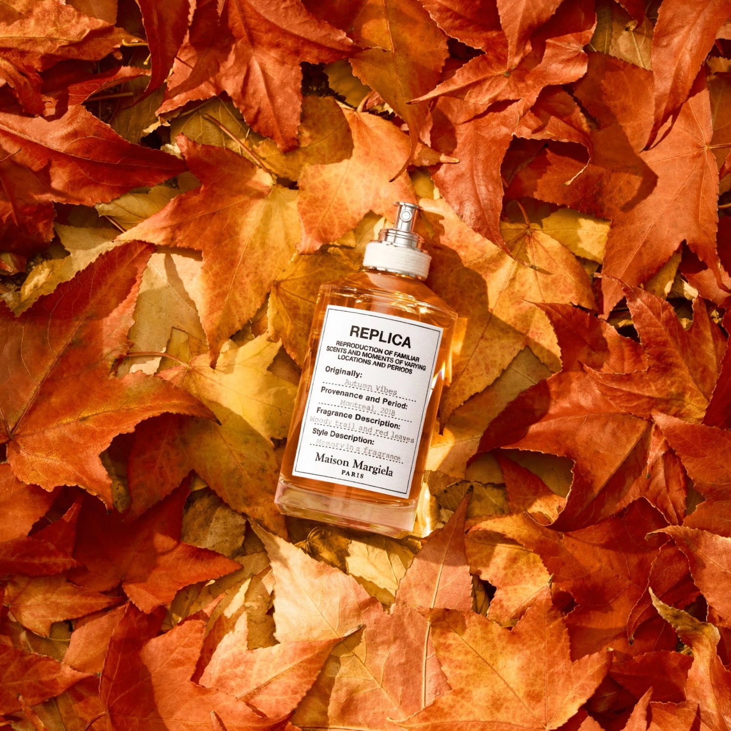 Top 10 des parfums pour l'automne 2022 MAISON MARGIELA - Replica Autumn Vibes