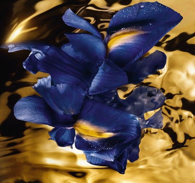 Shalimar Philtre de Parfum eau de parfum femme nouveauté 2020 Guerlain Iris