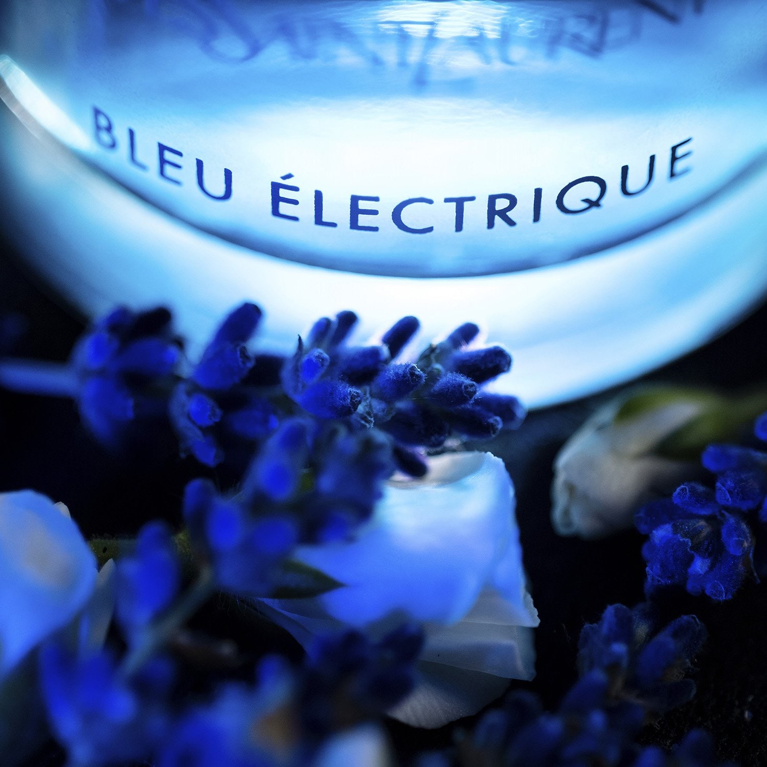 La Nuit de L'Homme Bleu Electrique : La nouvelle interprétation de Yves Saint Laurent 