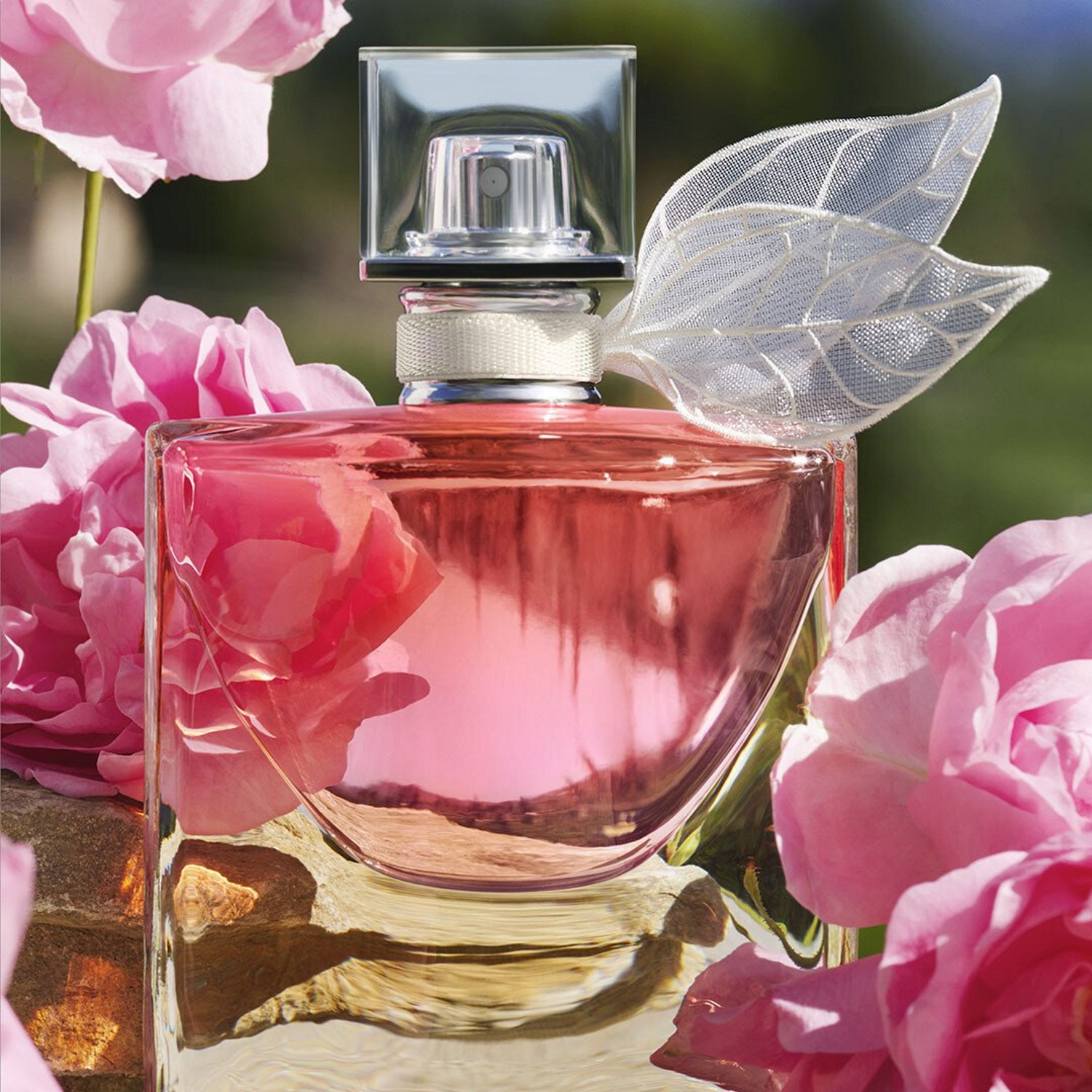 Nouveauté Lancôme : La Vie Est Belle Domaine de la Rose
